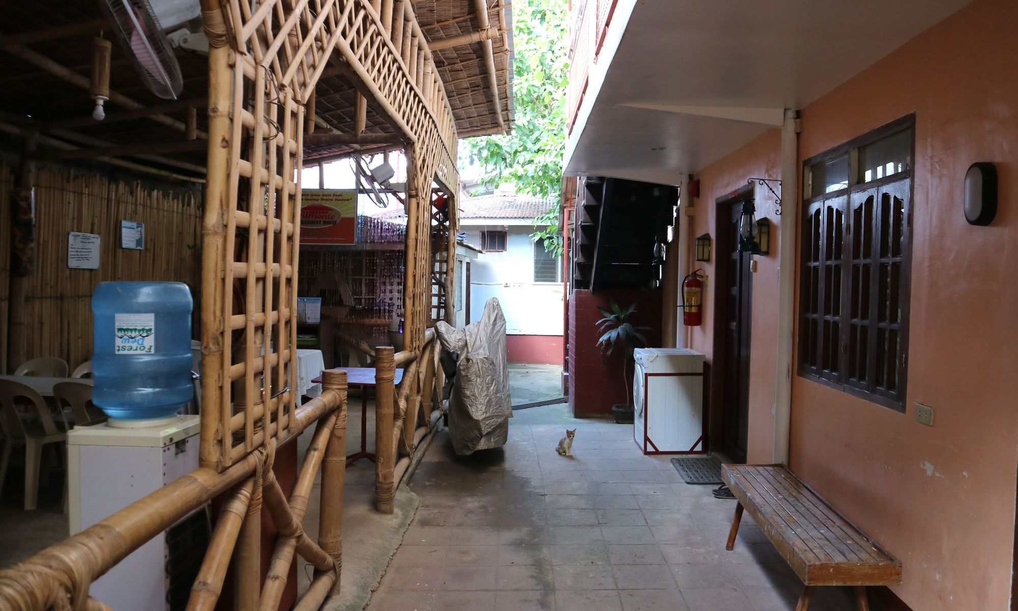 Almonte Transient Hostel Puerto Princesa Buitenkant foto